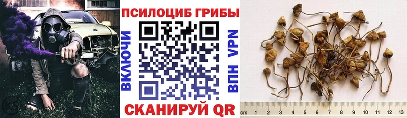 Псилоцибиновые грибы GOLDEN TEACHER  Кингисепп 